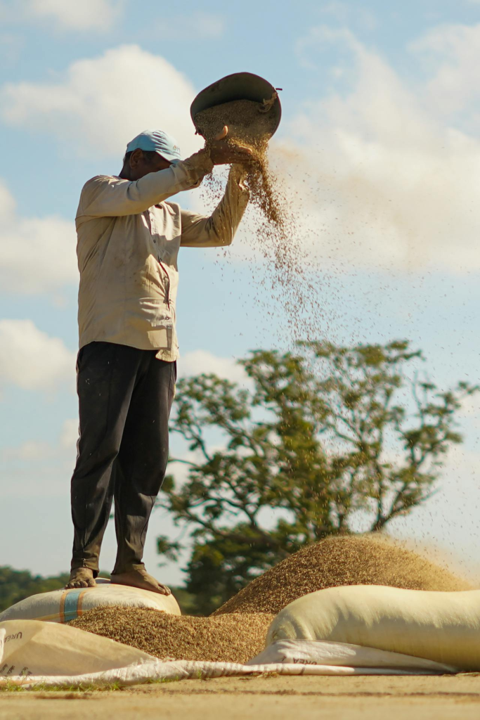 agricultura y ganadería en Torrelodones